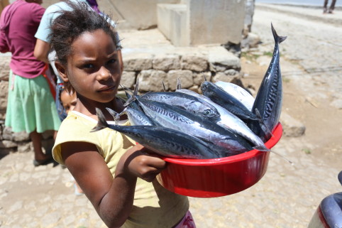 Fresh fish on the menu in Cape Verde