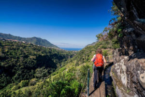 https://archipelagochoice.com/wp-content/uploads/2017/12/Madeira-Levada-Trail.jpg