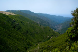https://archipelagochoice.com/wp-content/uploads/2017/12/Madeira-Levada-Walk-Rabacal-25Fontes-Valley.jpg