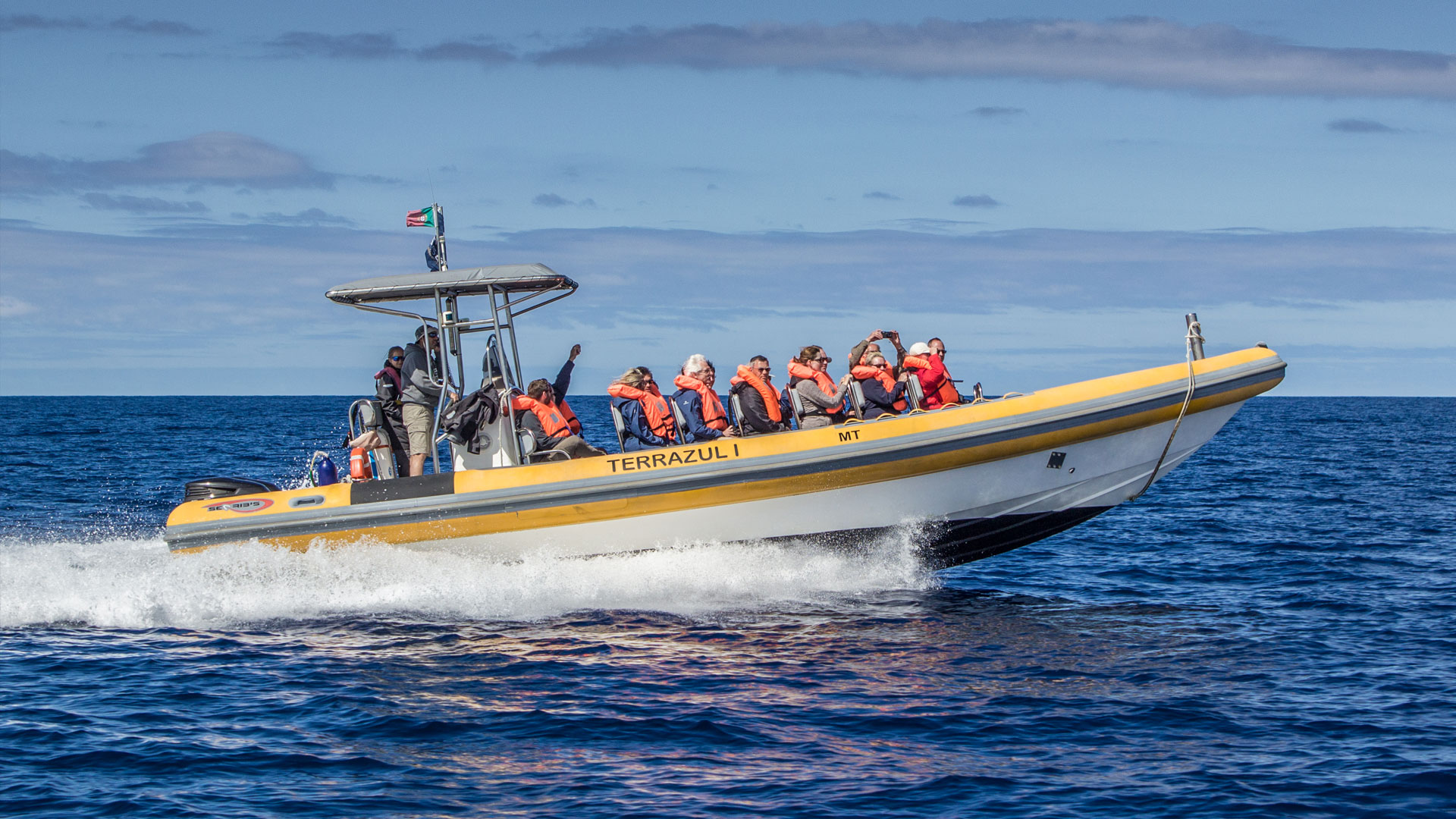 When’s the best time to go Whale Watching in the Azores?