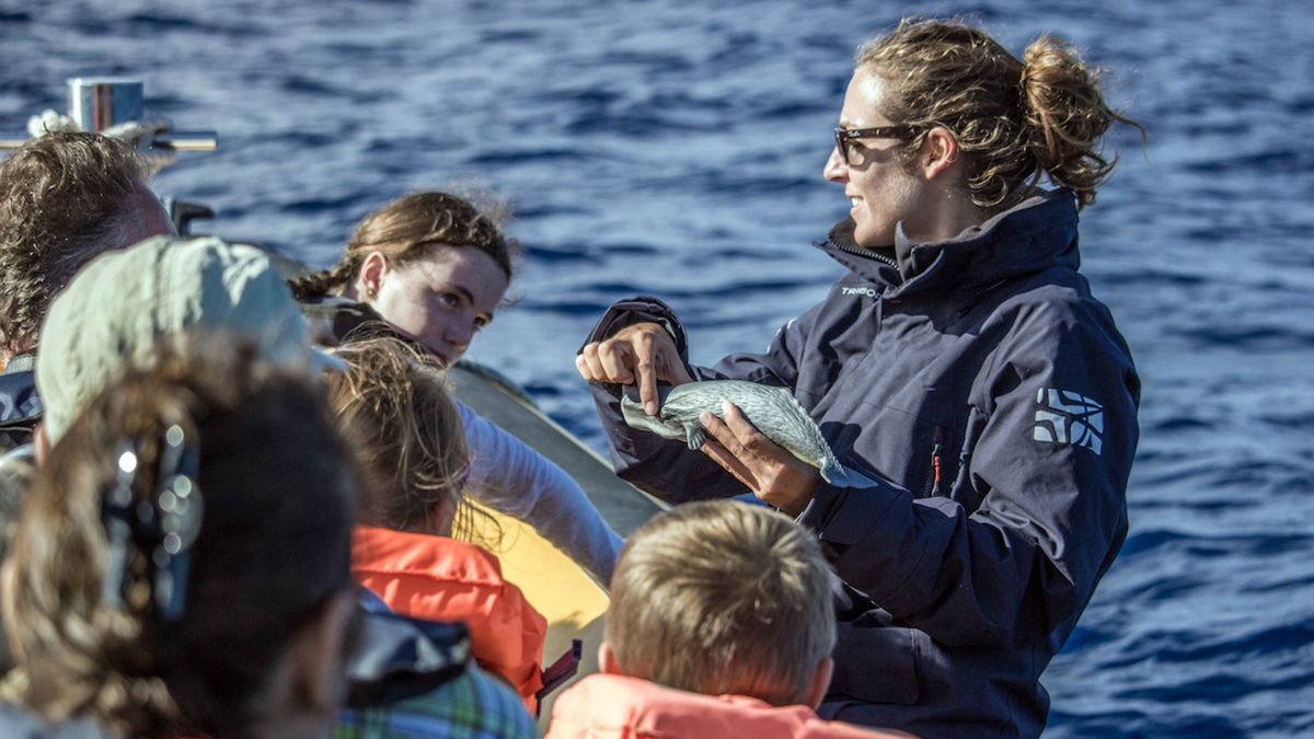 When’s the best time to go Whale Watching in the Azores?