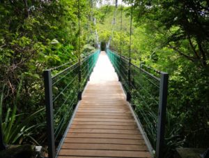 Costa Rica Holidays - Hanging bridge
