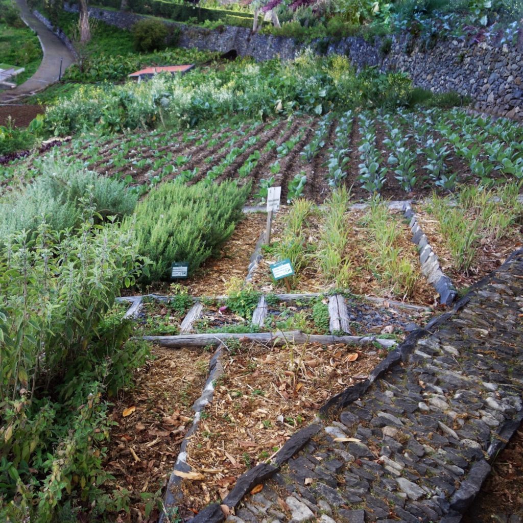 Madeira holidays - Kitchen garden at the Quinta da Serra
