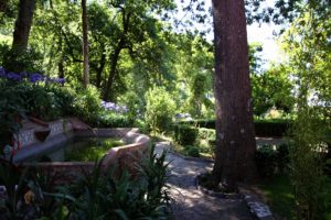 Madeira holidays - QdS garden
