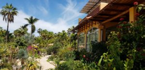 Posada La Poza - Baja California Holidays with Archipelago Choice