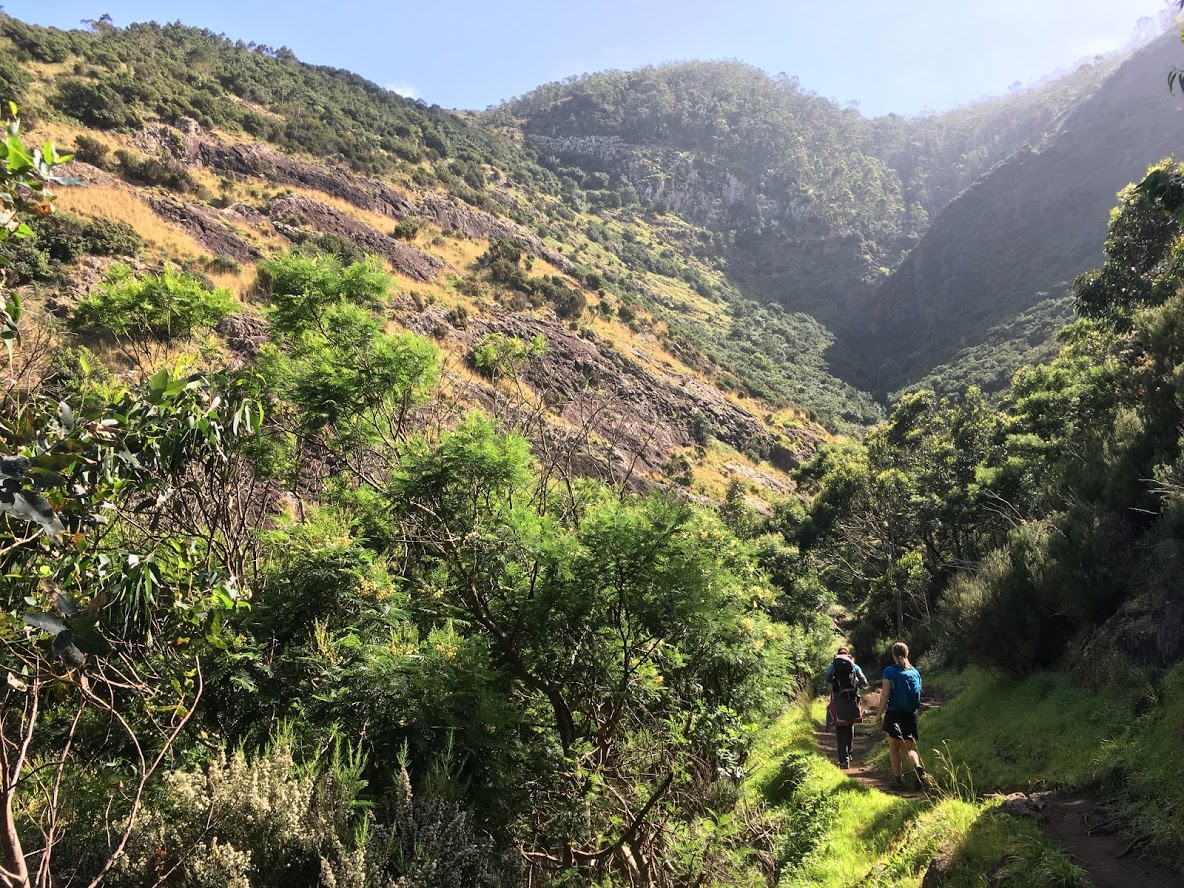 Exploring Madeira with a private walking guide