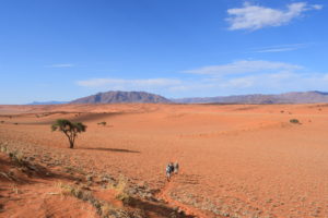We walk the Tok Tokkie trails in Namibia
