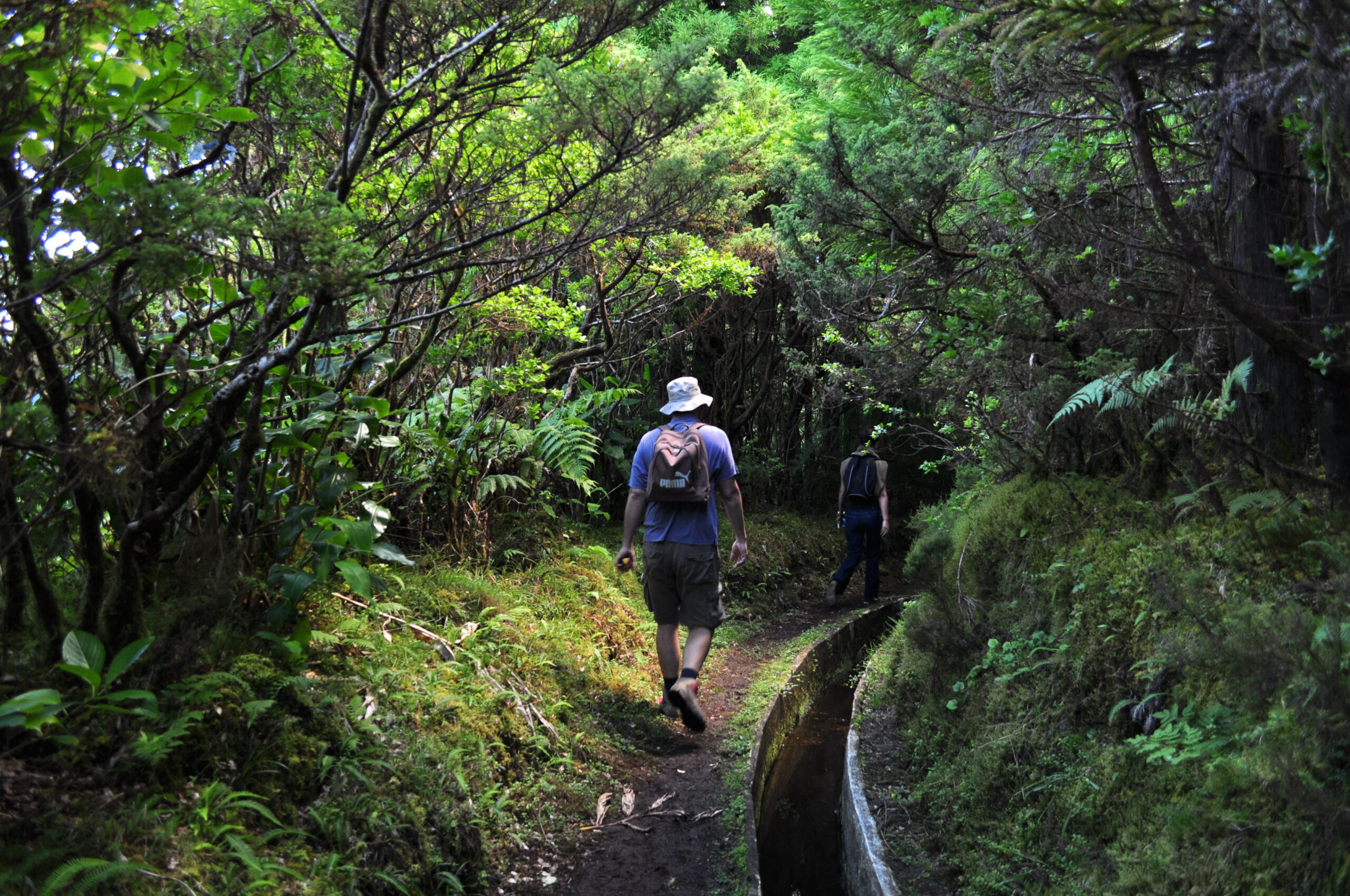 Self-guided Sao Miguel walking holiday